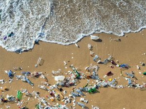 Ocean Pollution Facts