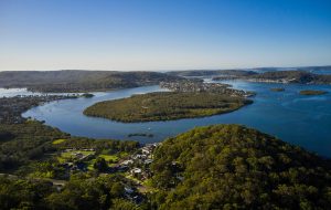 Public Swing Moorings on Brisbane Water